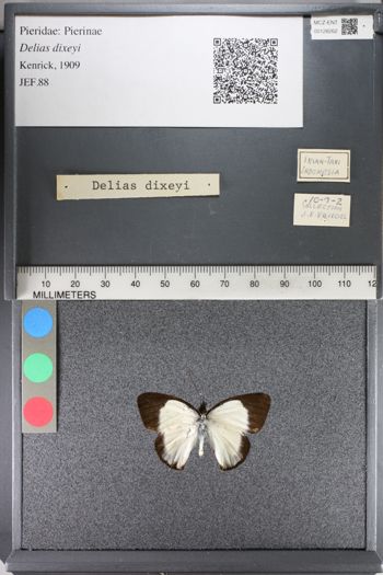 Media type: image;   Entomology 128262